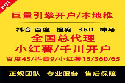 搜索引擎营销（SEM）成功案例详解